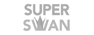 Partner Logo 4
