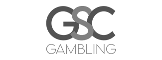 Partner Logo 5